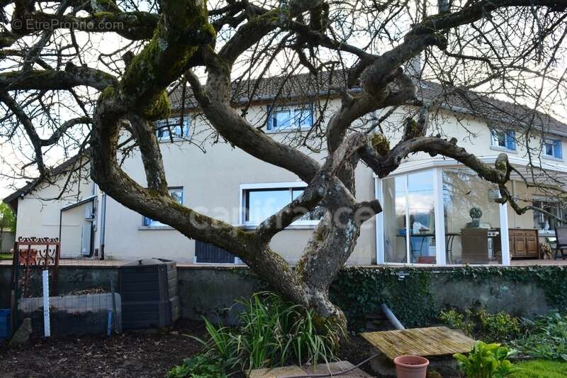 Dpt Cher (18), à vendre proche de NEVERS maison P8   Garage atelier, terrain batir - photo 3