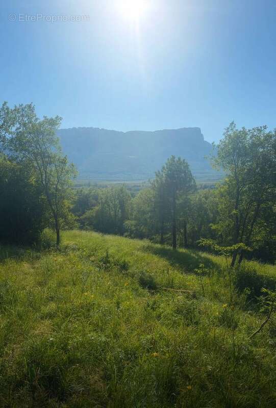Terrain à LES MOLLETTES