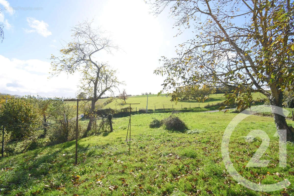 Maison à CREUZIER-LE-NEUF