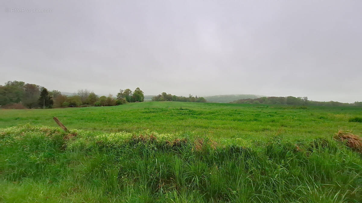 Terrain à COURCELLES