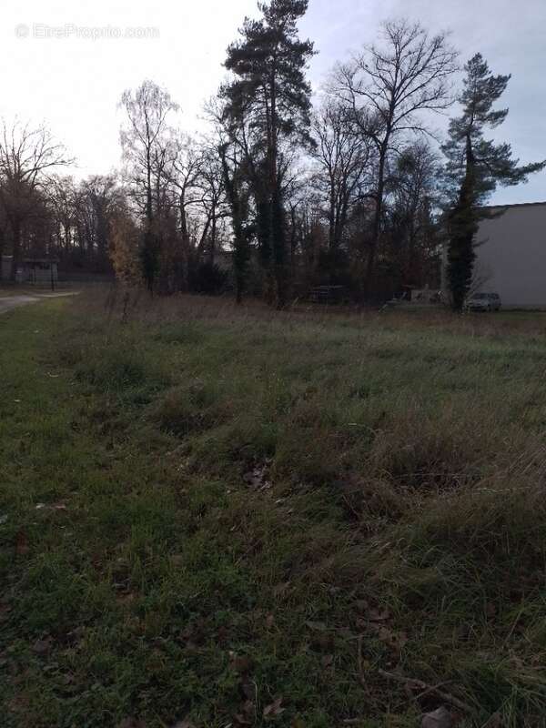 Terrain à VERNEUIL-EN-HALATTE