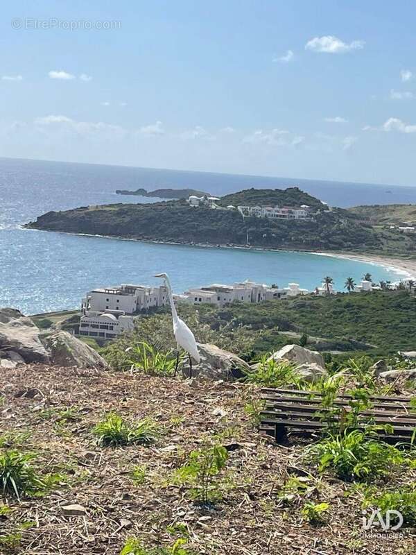 Photo 8 - Terrain à SAINT-MARTIN
