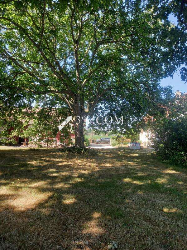 Merville - longere avec grange - coup de coeur - photo 4