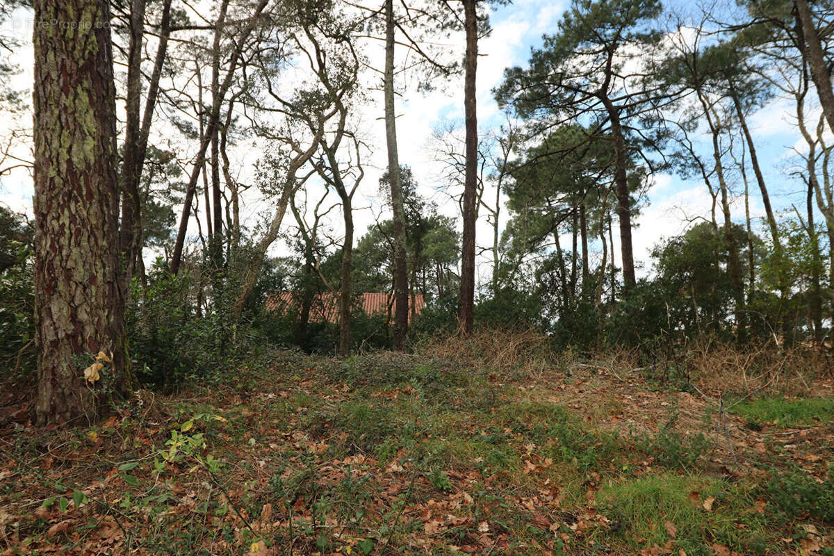 Terrain à CAPBRETON