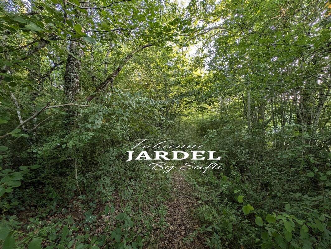 Photo 1 - Terrain à SAINT-MARTIAL-DE-NABIRAT