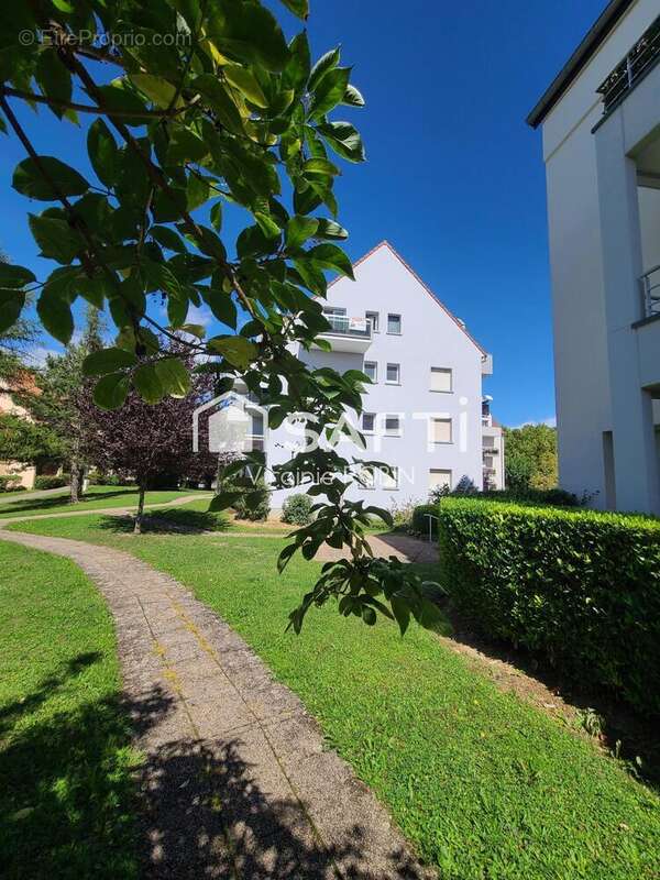 Photo 2 - Appartement à OBERNAI