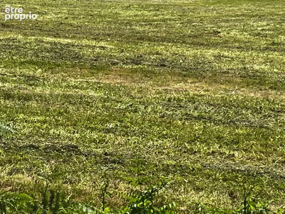 Terrain à COGNAC