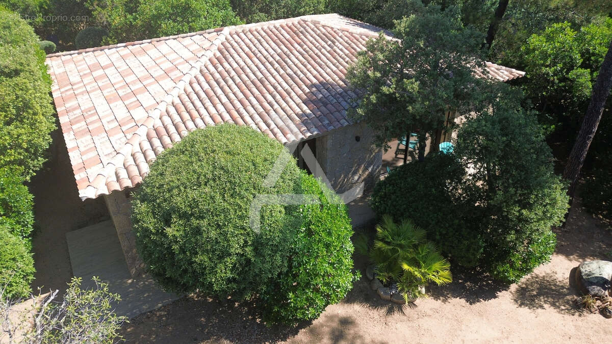 Maison à LECCI
