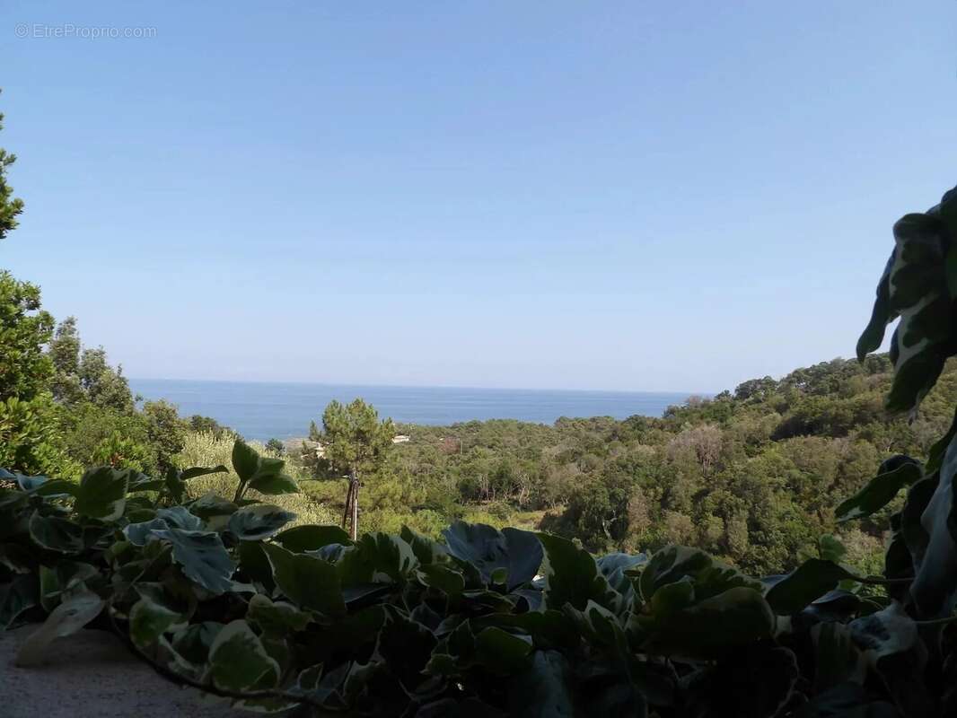 Maison à SARI-SOLENZARA