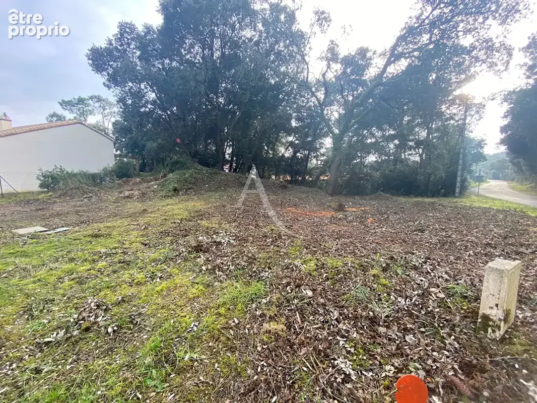 Photo Terrain à La Tranche-Sur-Mer au prix de 175 800€