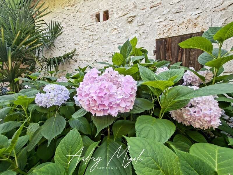 Propriété en pierre 8 pièces, 5 chambres, dépendances, piscine, terrain 7800m² - photo 22