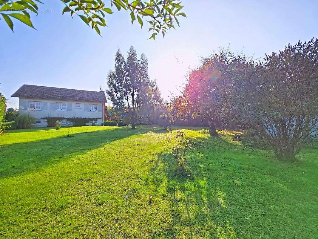 Maison à SAINT-GEORGES-D&#039;ESPERANCHE