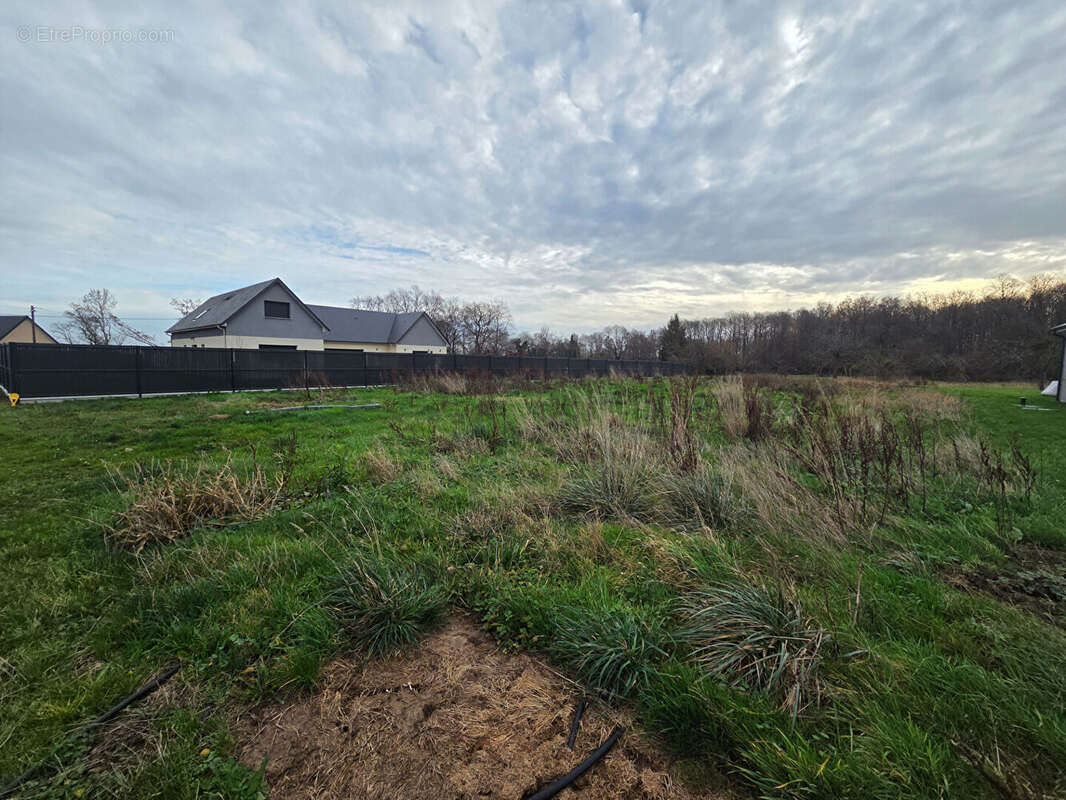 Terrain à LE LANDIN