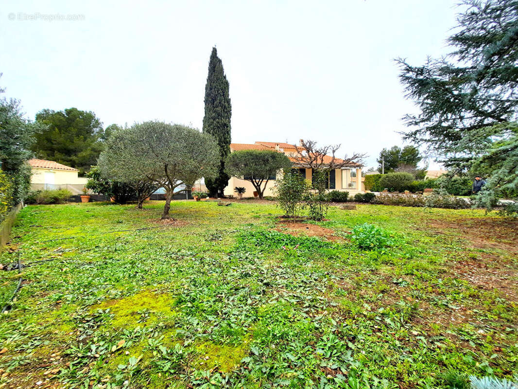 Maison à JONQUIERES