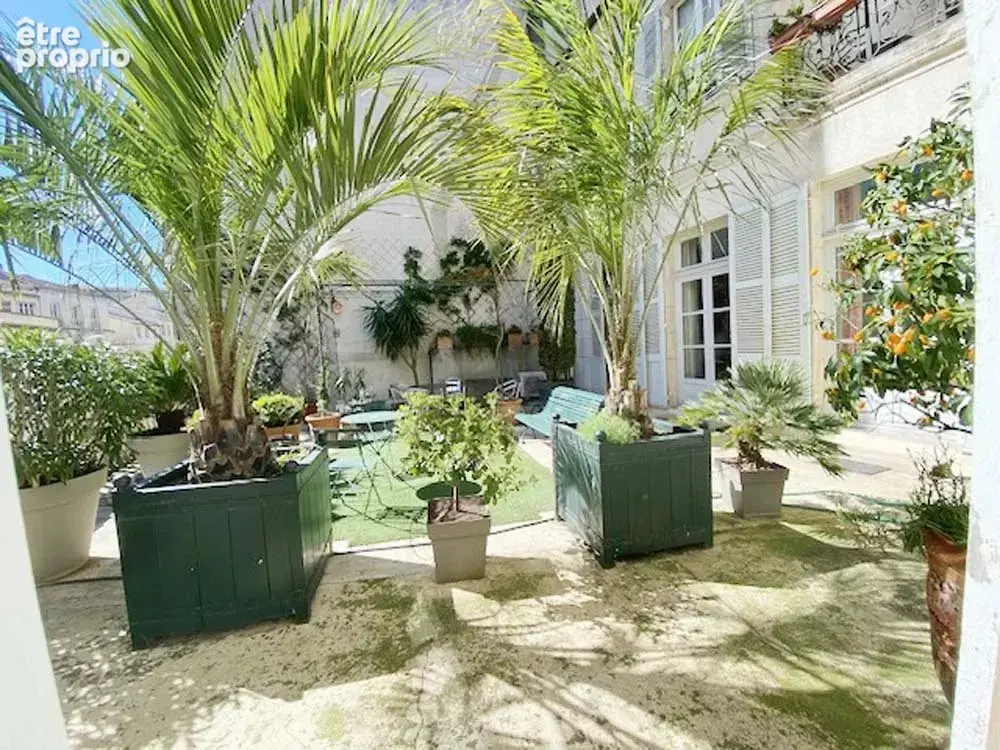 Avignon Intra-Muros: Appartement 160 m² avec Vaste Terrasse - photo 5