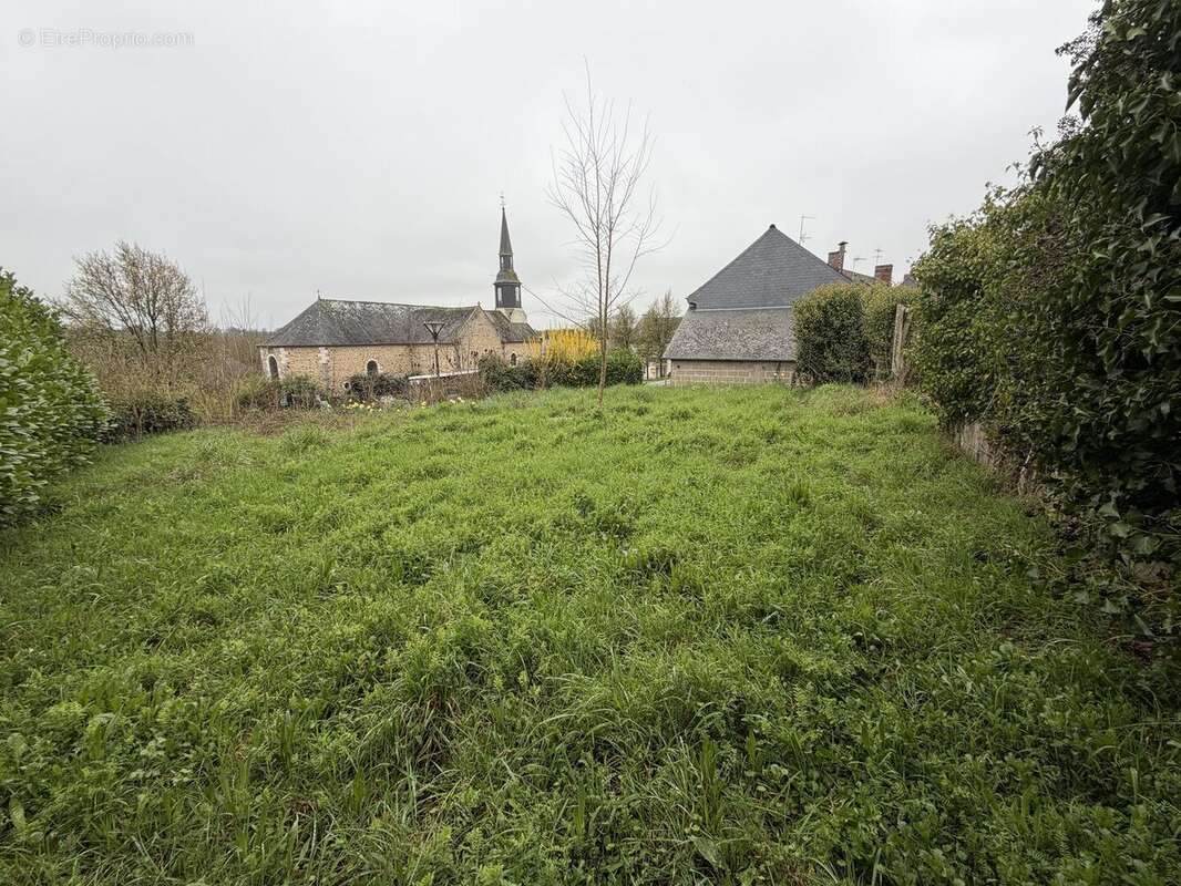 IMG1424 - Terrain à MONTREUIL-LE-GAST