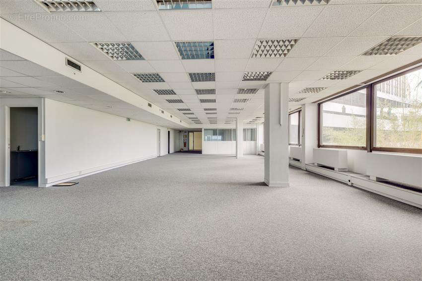 Commerce à SAINT-CLOUD