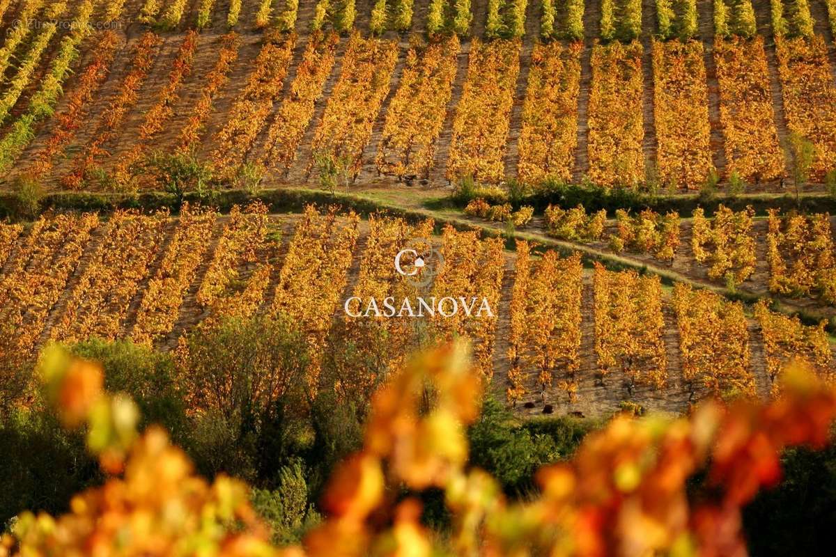 Maison à SAINT-CHINIAN