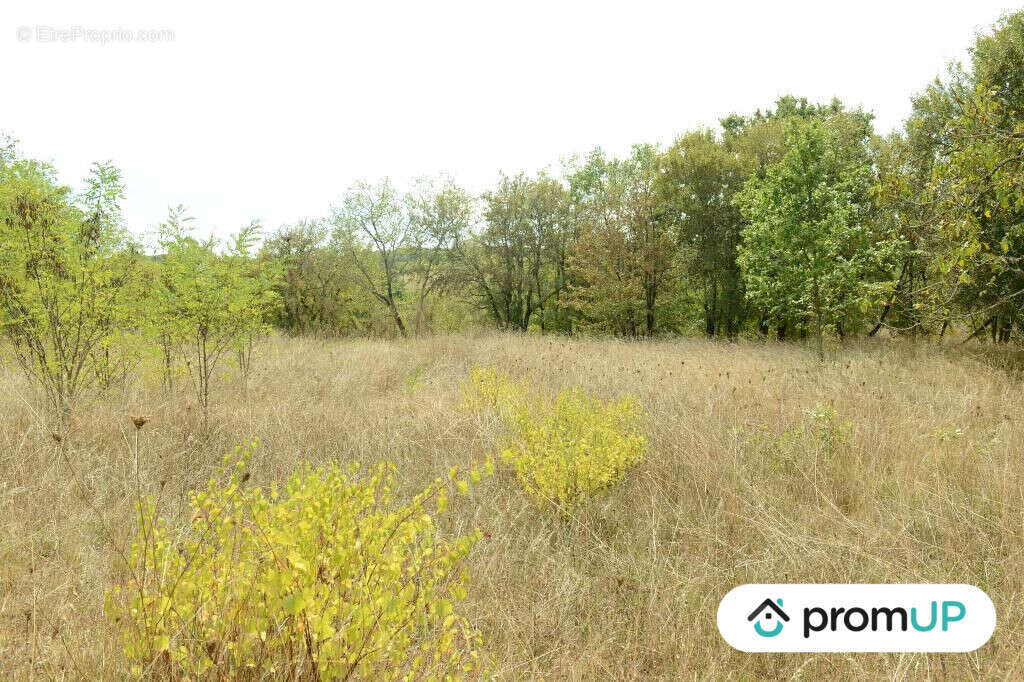 Terrain à FLORESSAS