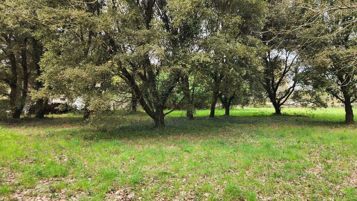 Terrain à SAINT-HILAIRE-DE-RIEZ