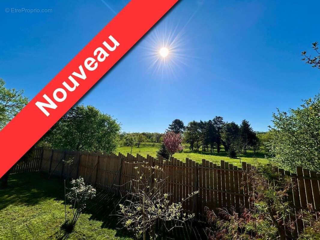   - Maison à SAINTE-GEMMES-SUR-LOIRE