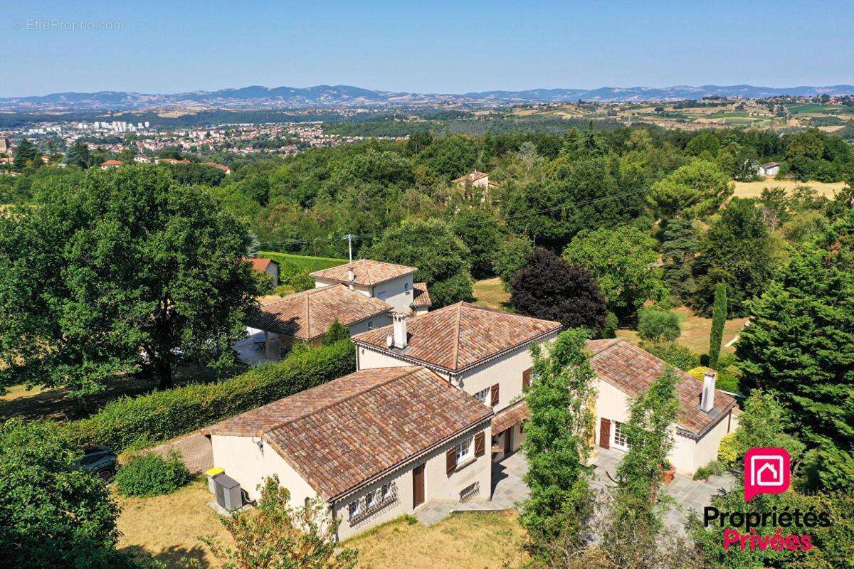 Ternay- propriete de caractere avec piscine - terrain 4 297 m² - photo 4