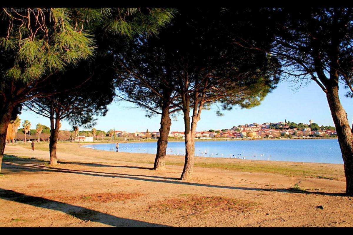 Commerce à VILLENEUVE-DE-LA-RAHO