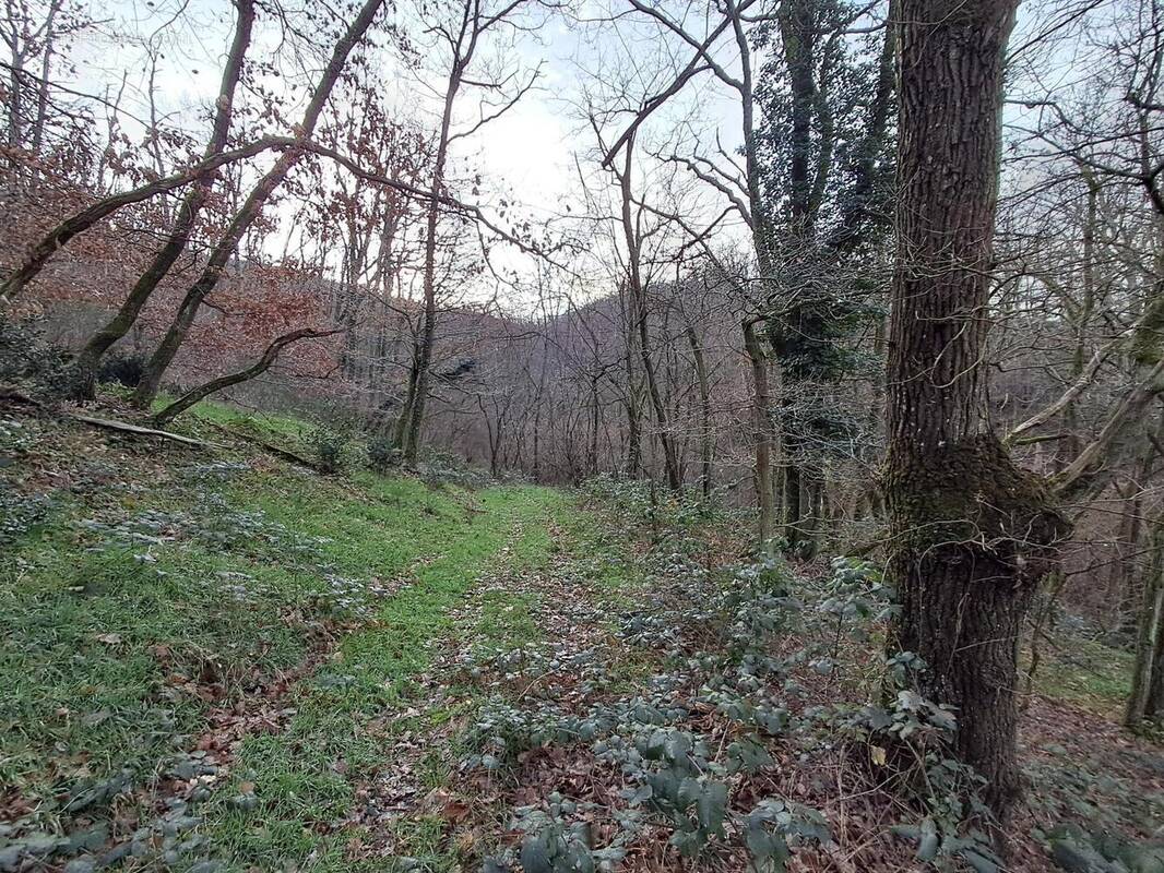 Photo 1 - Terrain à CHASSELAY