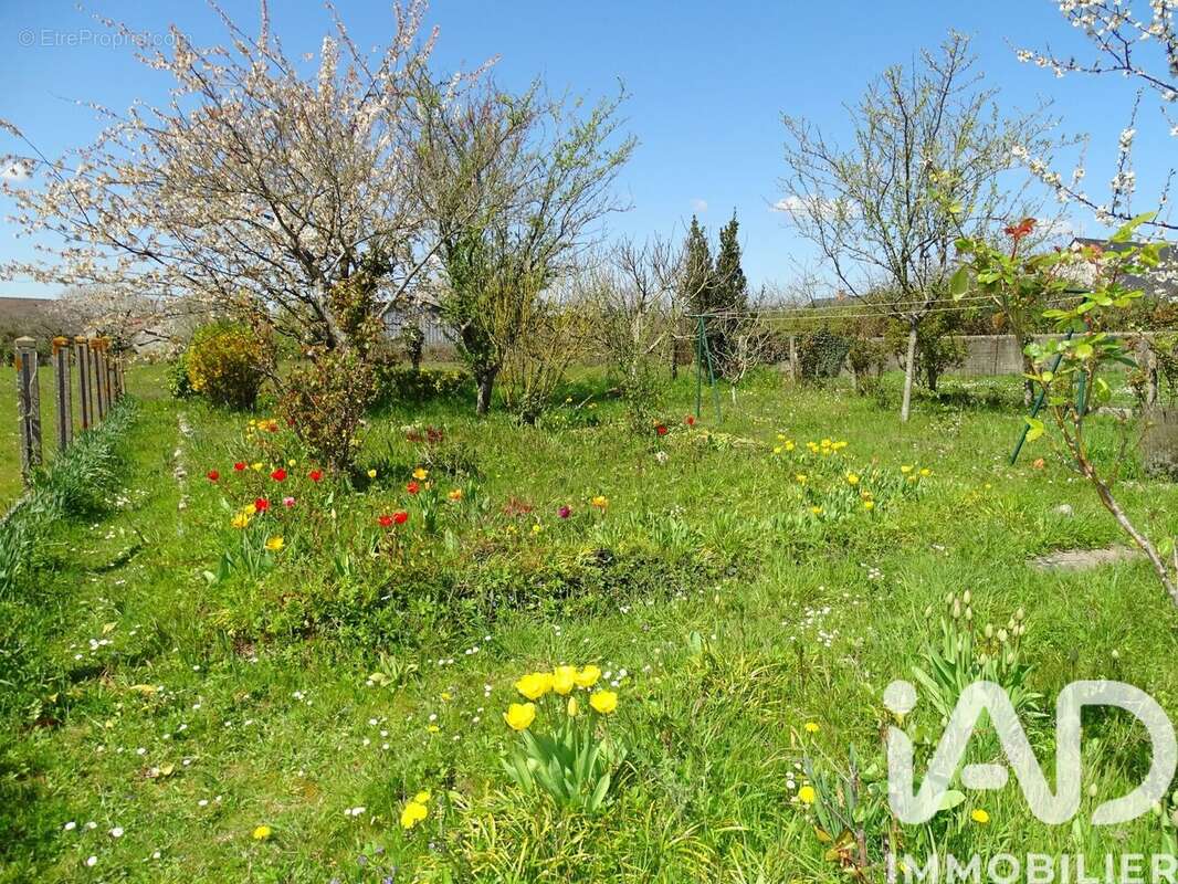 Photo 3 - Maison à MANSIGNE