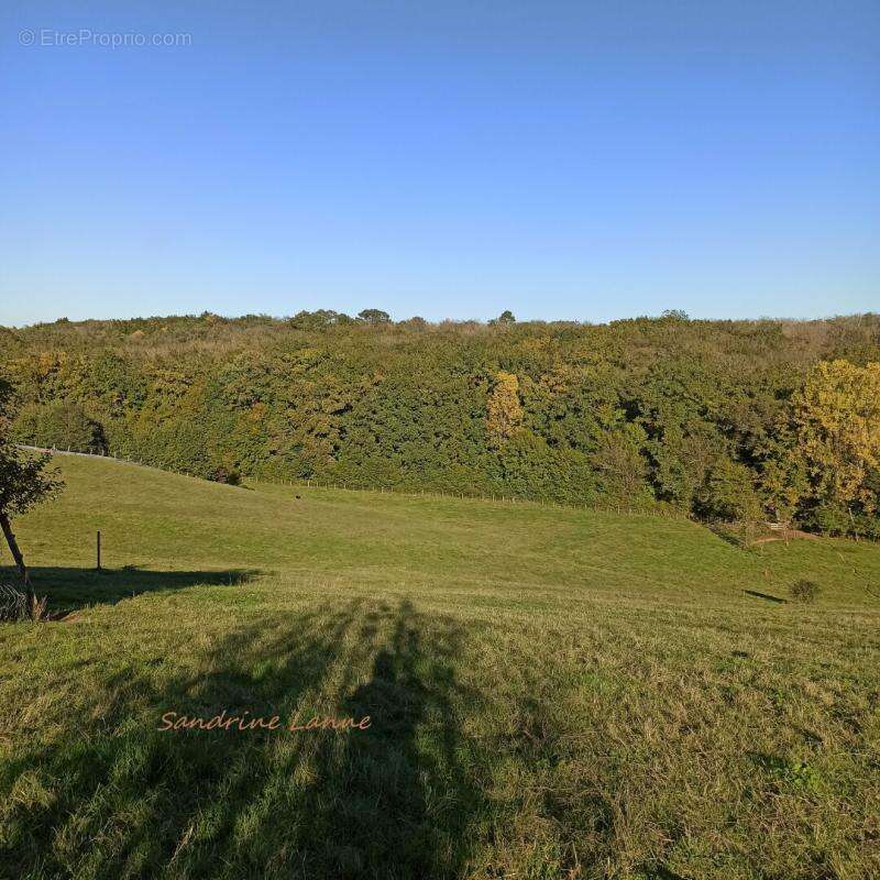 Terrain à SAINT-PANTALEON-DE-LARCHE