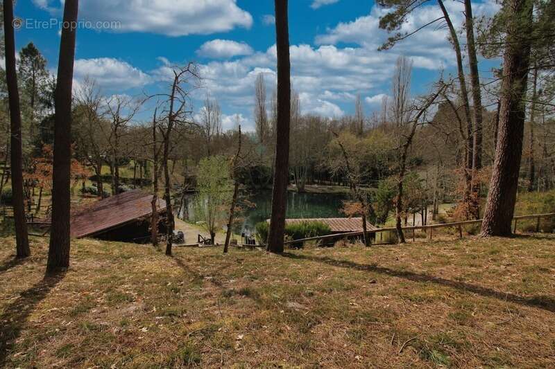 Maison à VILLANDRAUT