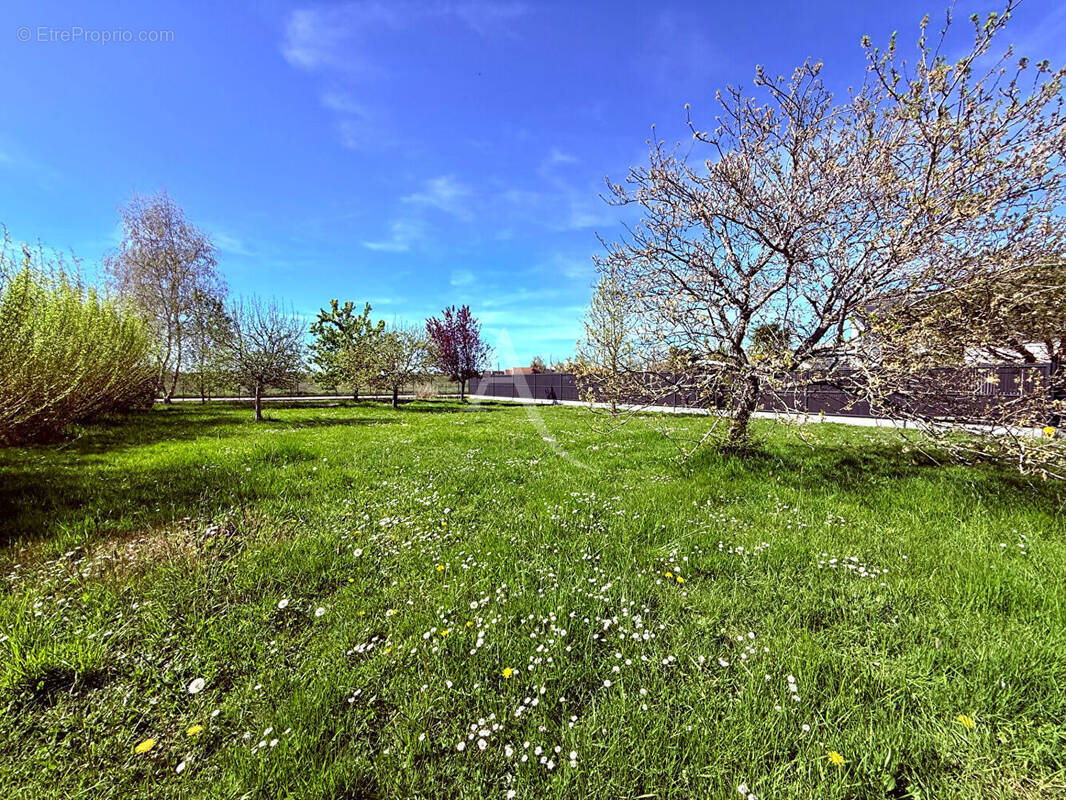 Terrain à SAINT-DENIS-EN-VAL
