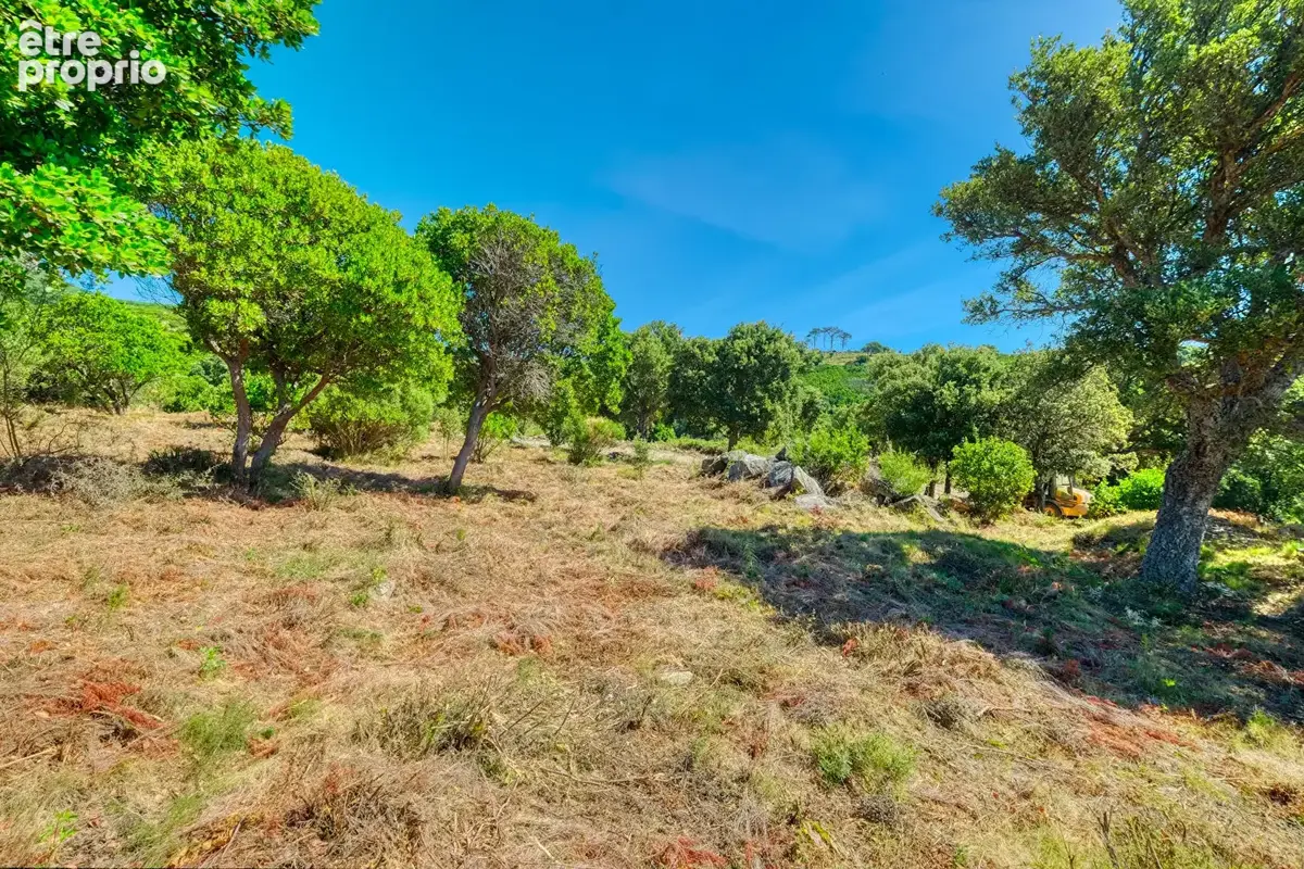Terrain 3600m² à bastia - photo 5
