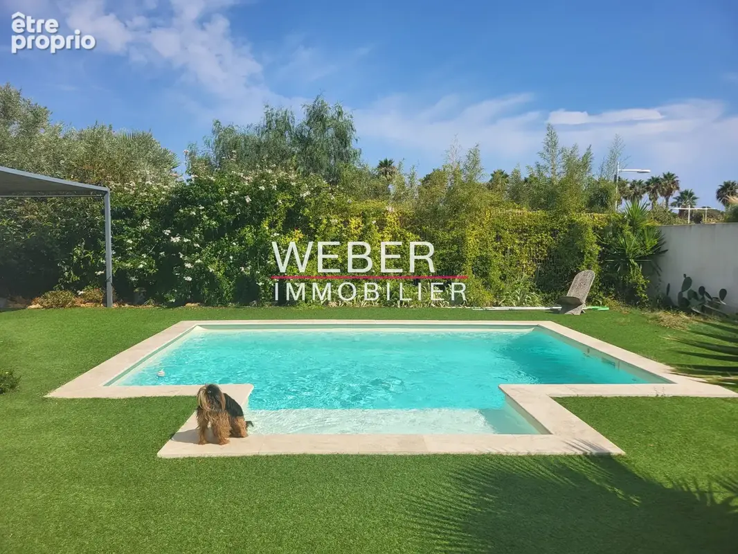 OLLIOULES - Plain pied 4 ch - Piscine - 675 m2 - photo 11