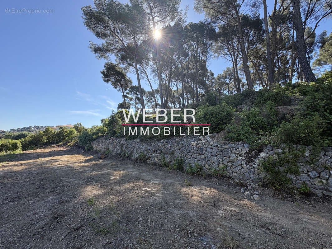 Ollioules - terrain a batir 6400 m2- vue degagee - photo 4