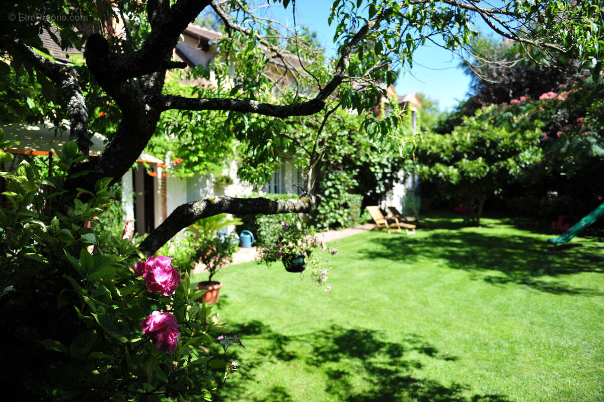 Maison à OLIVET