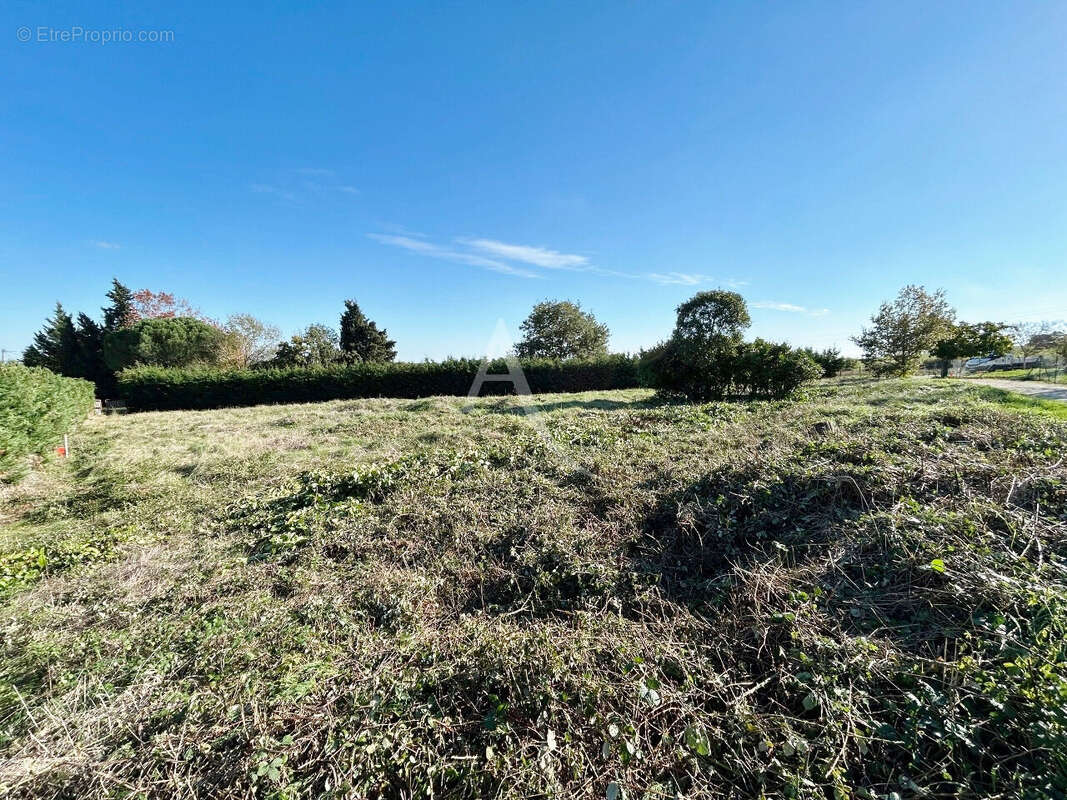 Terrain à AUSSONNE