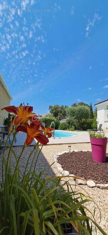 Maison coup de cœur, 4 chambres, piscine, Aucun travaux à prévoir ! - photo 16