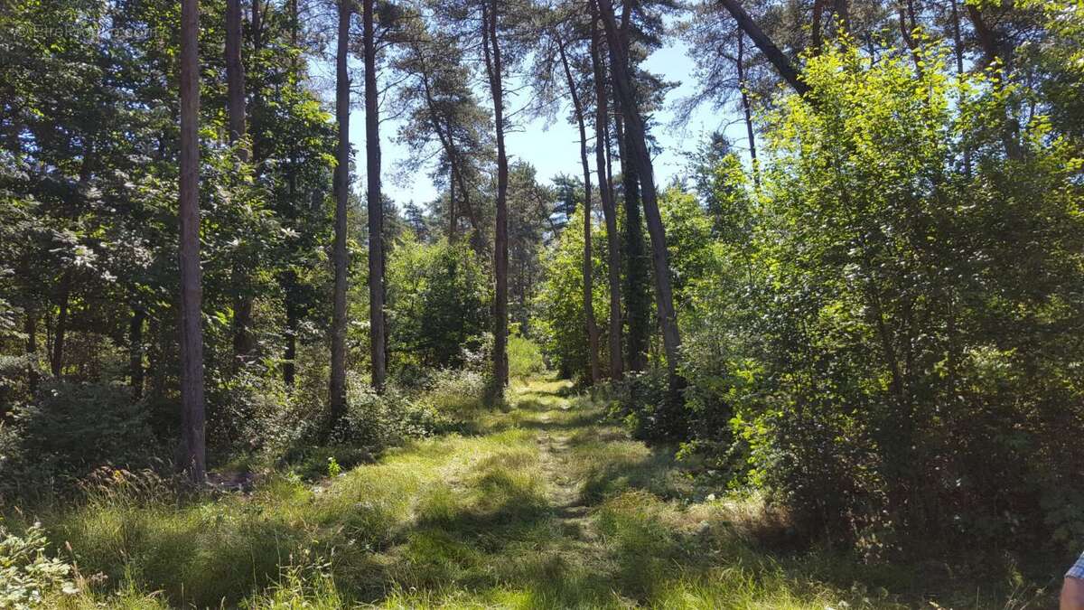 Maison à BRINON-SUR-SAULDRE
