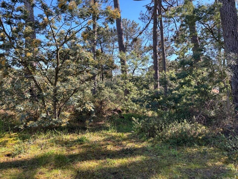 Terrain à ANDERNOS-LES-BAINS