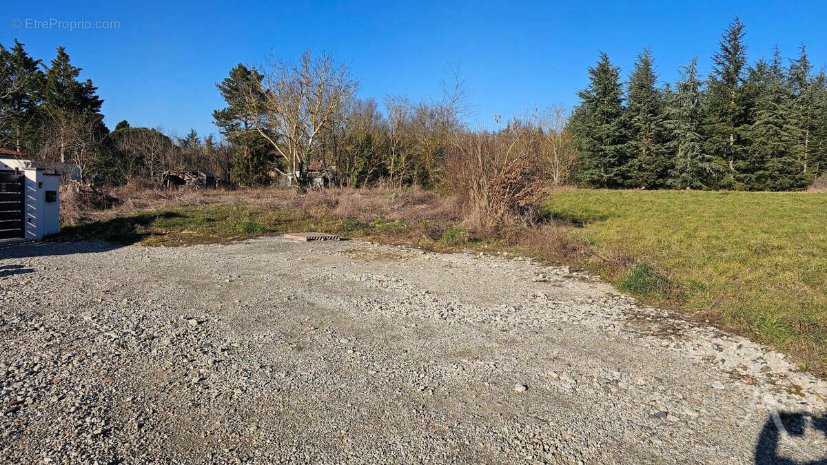 Terrain à NOUEILLES