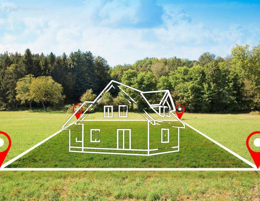 Terrain à SAINT-NAUPHARY