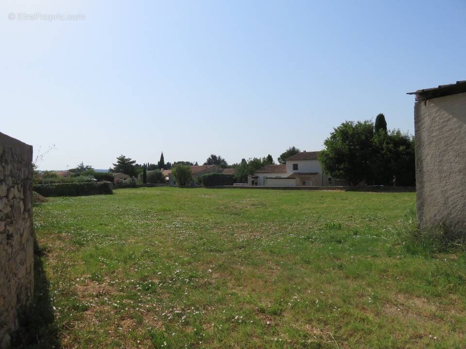 Terrain à CALVISSON