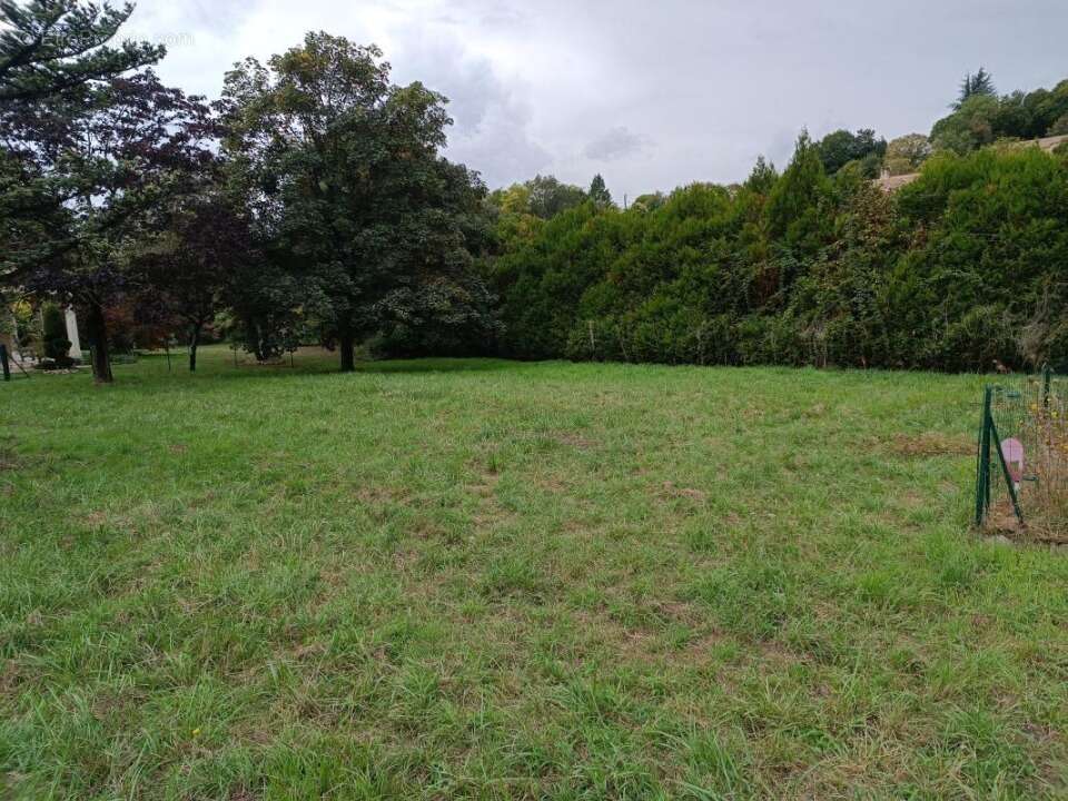 Terrain 288 m² à Saint-Thibault-Des-Vignes  - photo 4