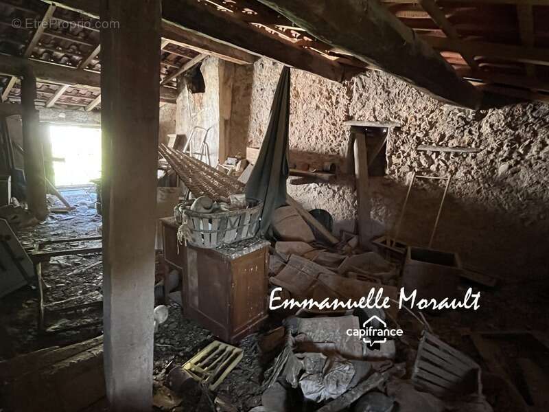 Commerce à BAGNOLS-EN-FORET