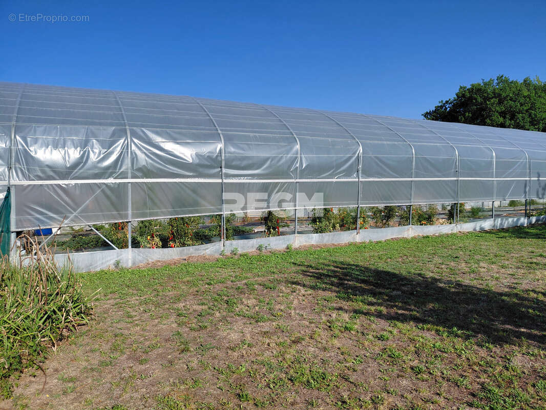 Très bel ensemble immobilier, comprenant maison avec piscine dans parc, grande serre pour tous légumes, hangar - photo 14
