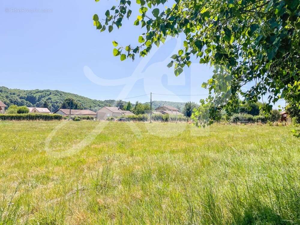 Terrain à bâtir (Lot 5) - Terrain à LONGECHENAL