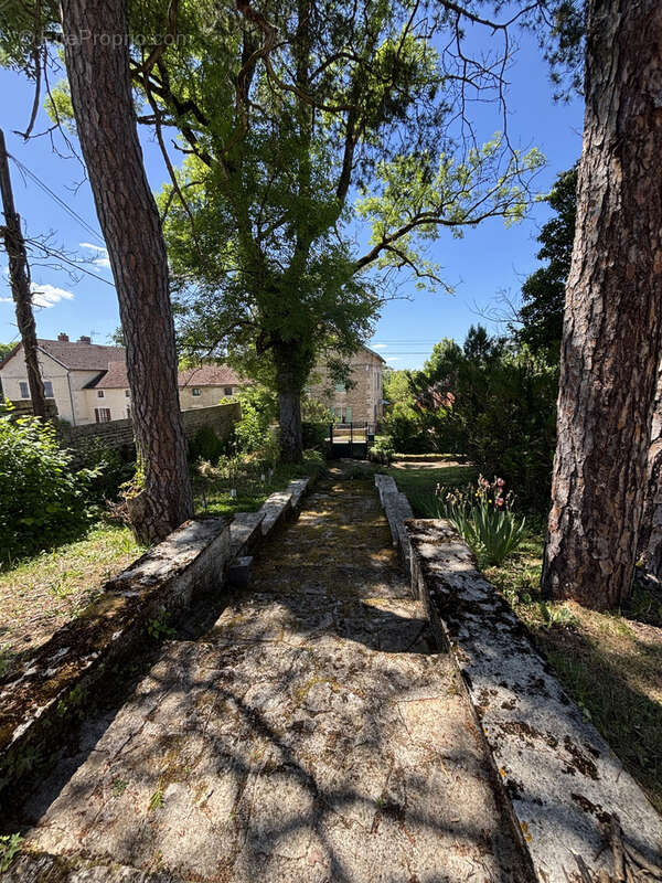 Maison à SAINTE-COLOMBE-SUR-SEINE