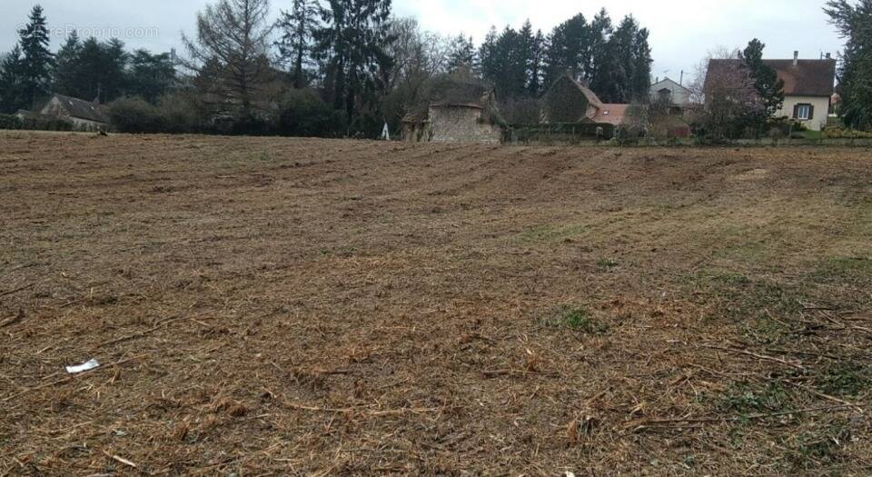 Terrain à LE TRAIT