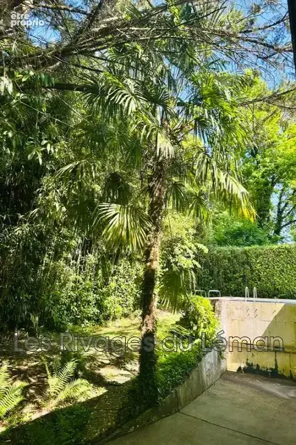 Terrain à vendre à Sciez (74140) - photo 4